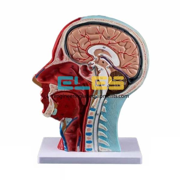 Educational School Lab Equipment and Instruments Manufacturers Uzbekistan