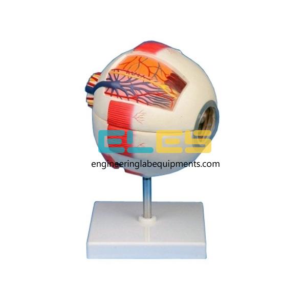 Educational School Lab Equipment and Instruments Manufacturers Vietnam