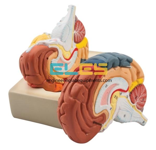 Educational School Lab Equipment and Instruments Manufacturers UAE