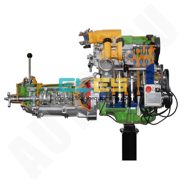 Multipoint Electronic Fuel Injection DOHC Petrol Engine Gearbox Cutaway